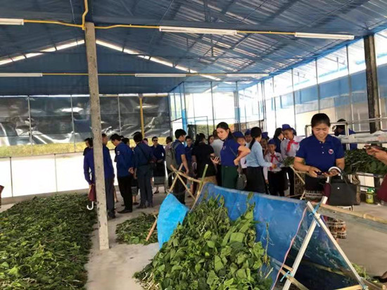 1660640122370244.jpg 蘇豪股份技術(shù)專家在老撾進(jìn)行技術(shù)指導(dǎo)_副本.jpg